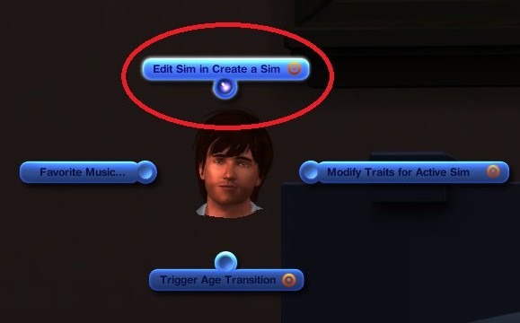 cas sims 3 cheat