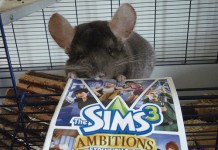 Winner of our Sims 3 Pets Limited Edition Giveaway!