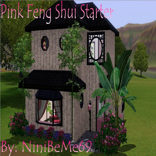 Pink Feng Shui Starter by NiniBeMe69
