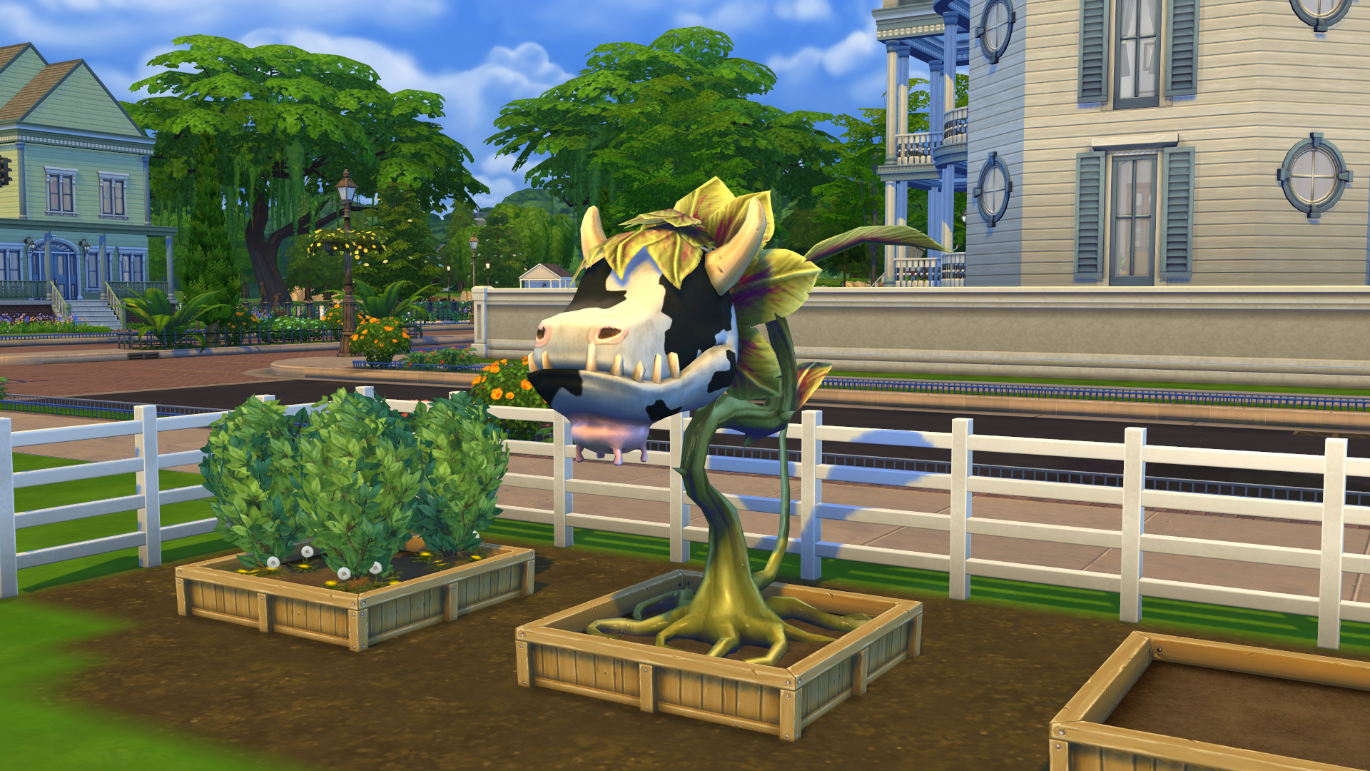 Cow plant sims