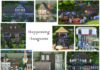The Sims 4 Gallery Spotlight