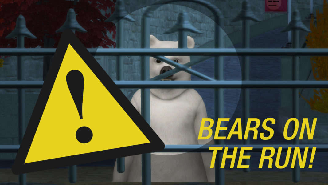 bears-on-the-run