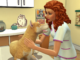 sims 4 control pet mod sims 4 control pet mod