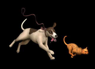 It Gets Better: Pets Expansion Pack Code Found in The Sims 4