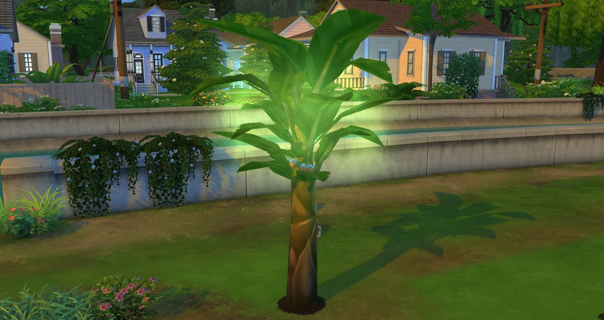 magical tree sims 4