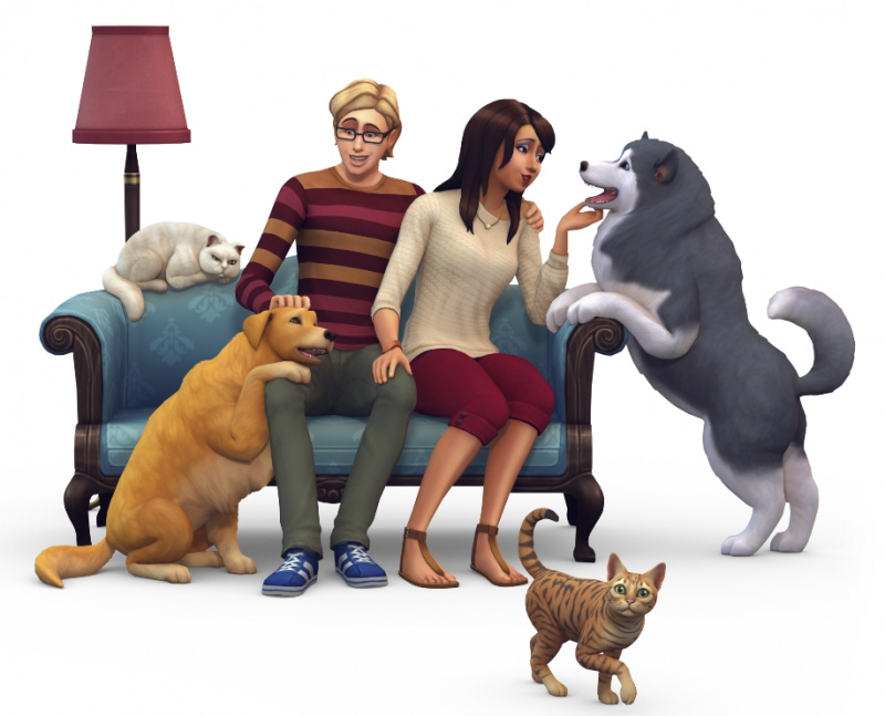 how do you get feathers in the sims 4 cats and dogs?