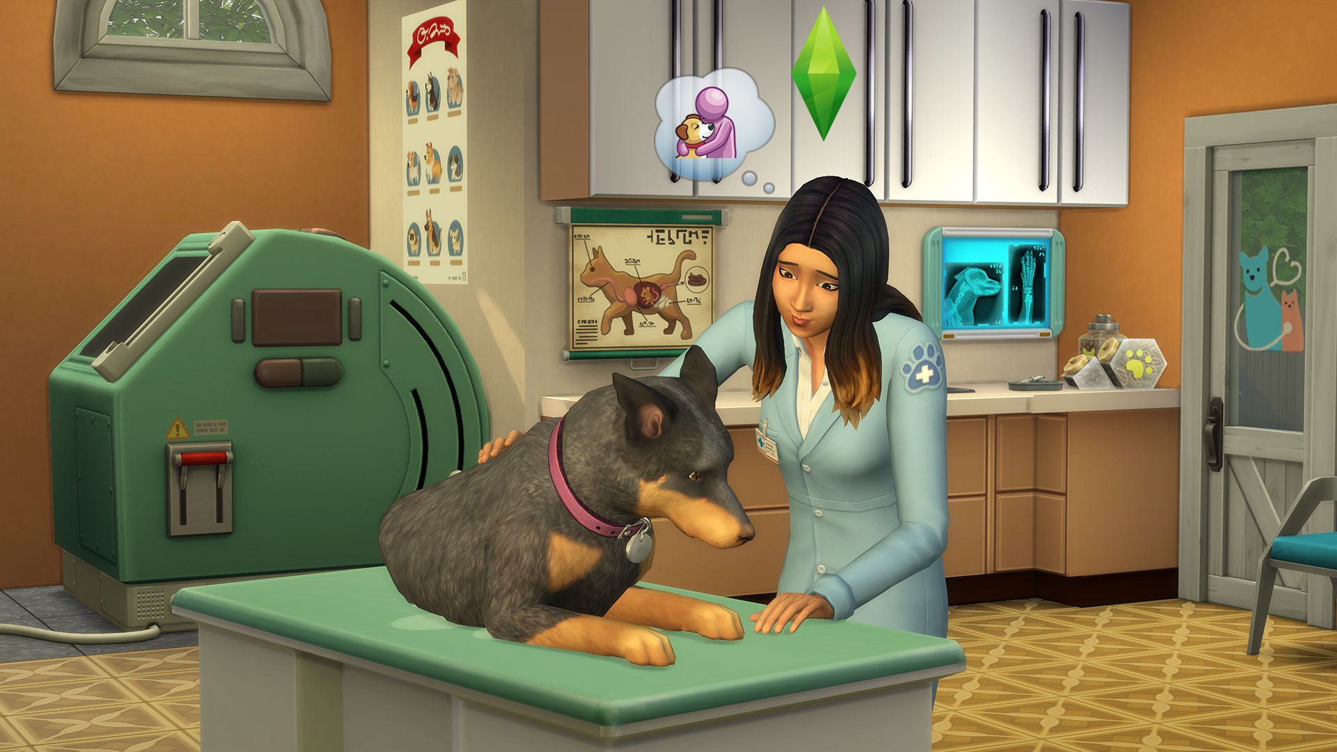 the sims 4 cats and dogs recolors