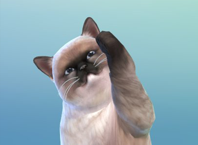 free cat and dog pack for sims 4