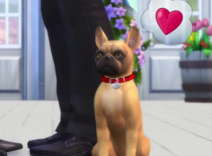 sims 4 cats and dogs bow recolor