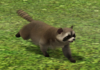 The Sims 4 Cat and Dogs…and Raccoons…and Foxes!