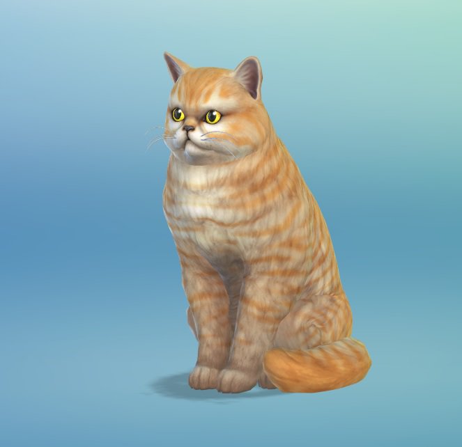 The Sims 4 Cats And Dogs New Screenshots Simsvip