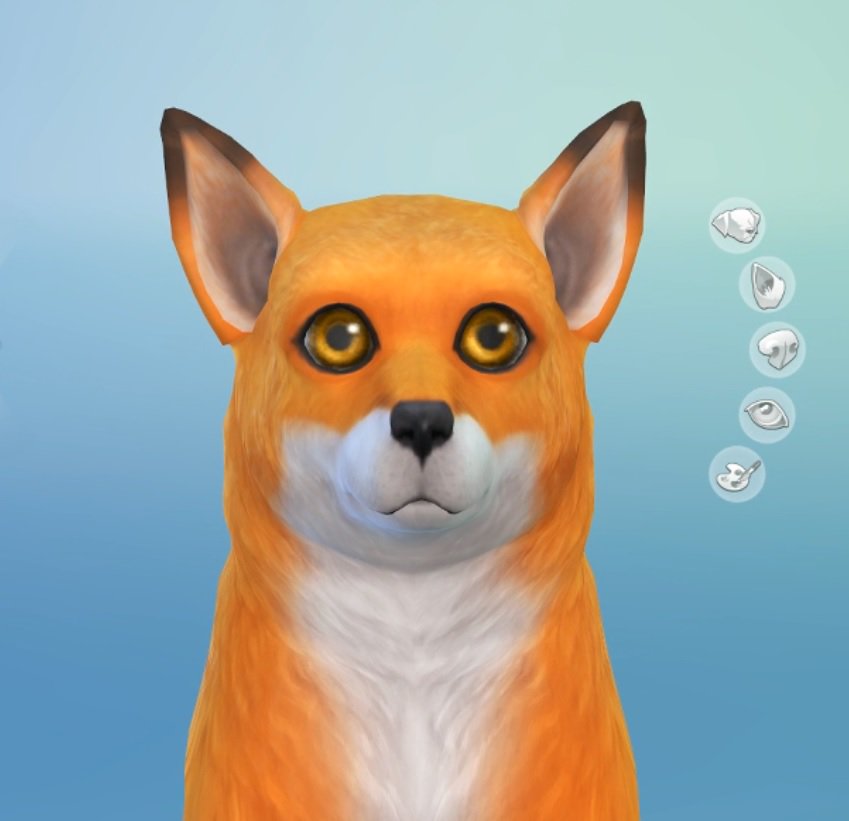 the sims 4 cats and dogs sale