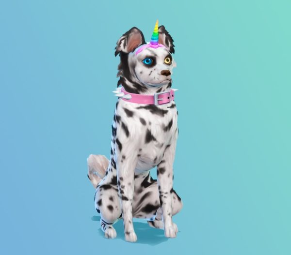 the sims 4 cats and dogs challenges