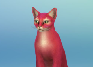 The Sims 4 Cats & Dogs: New Screenshots