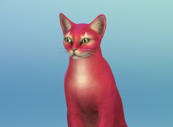 Симс 4 котики. SIMS 4 кошка. The SIMS 4. кошки и собаки. Кот из симс 4. Котята в симс 4.