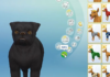 The Sims 4 Cats & Dogs: 45 Create-a-Pet Screenshots! (HQ)