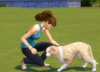 The Sims 4 Cats & Dogs: New Screenshot