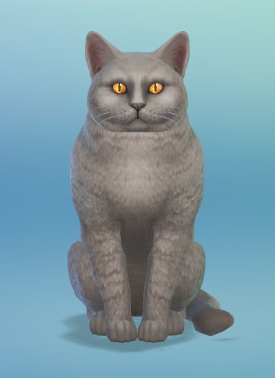 the sims 4 cats and dogs wolf