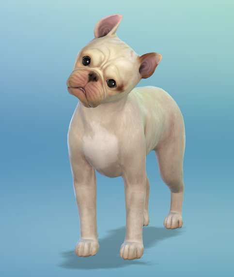 dantdm the sims 4 cats and dogs