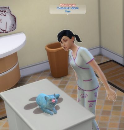 the sims 4 cats and dogs recolors