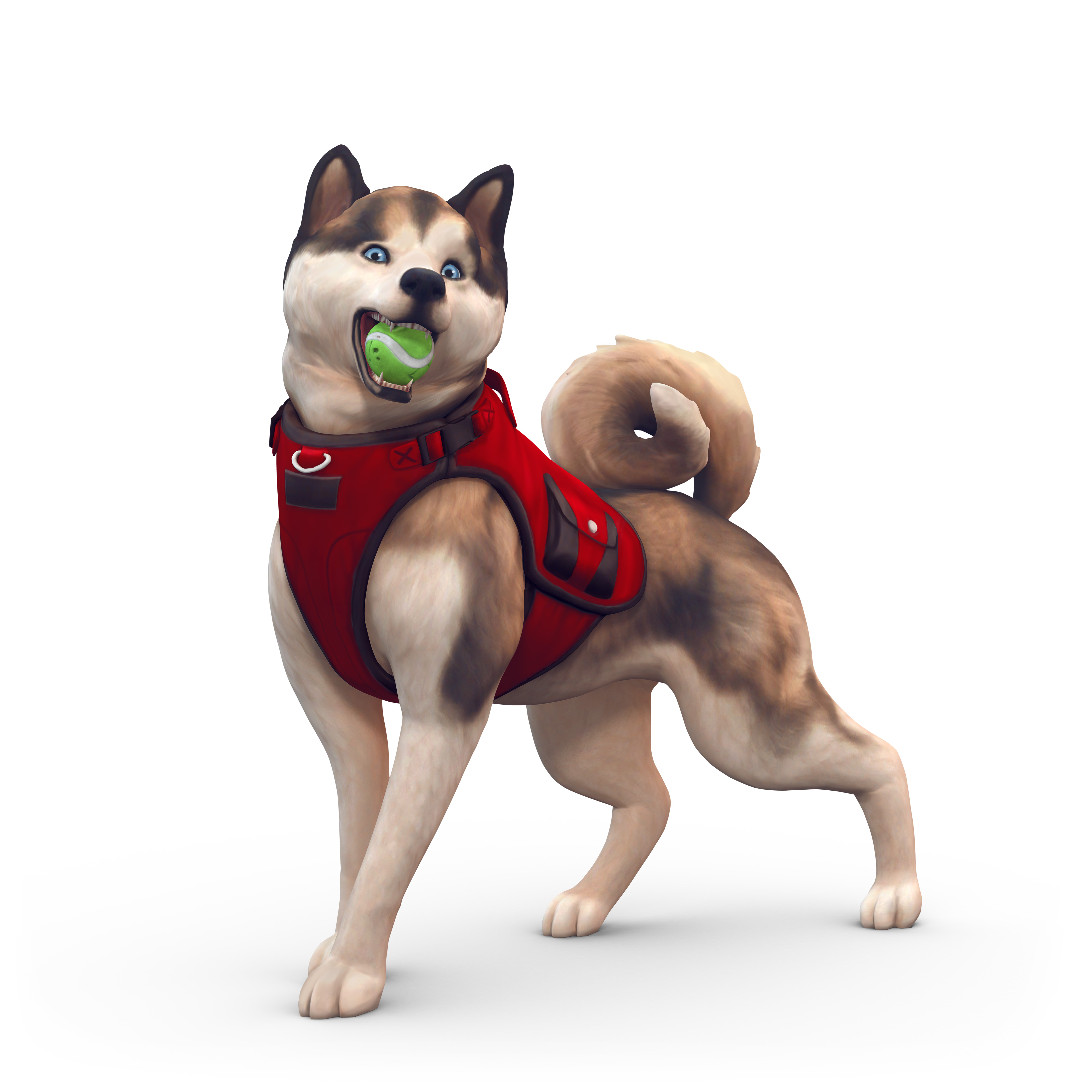 free cat and dog pack for sims 4
