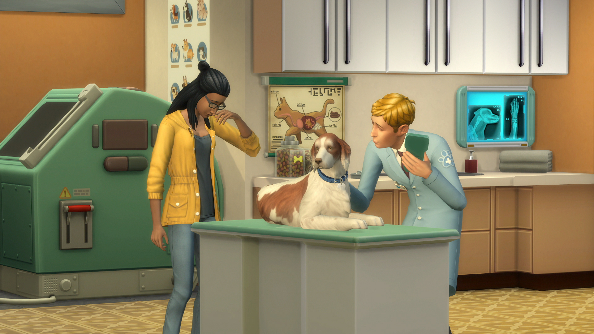 Cats & Dogs Community Blog Open Your Very Own Vet Clinic! SimsVIP