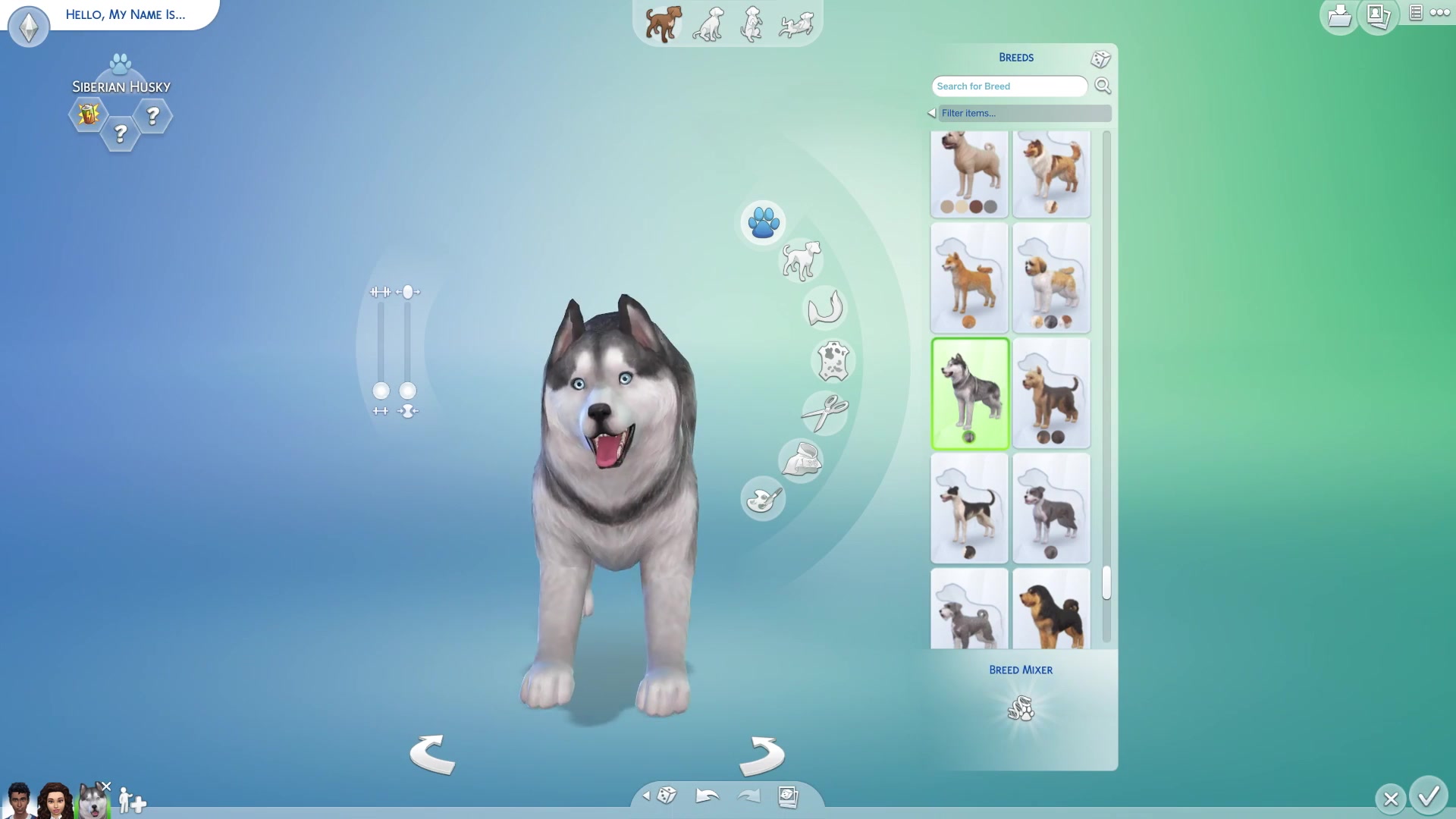 Sims More News On Cats And Dogs Sims More News On Cats And Dogs
