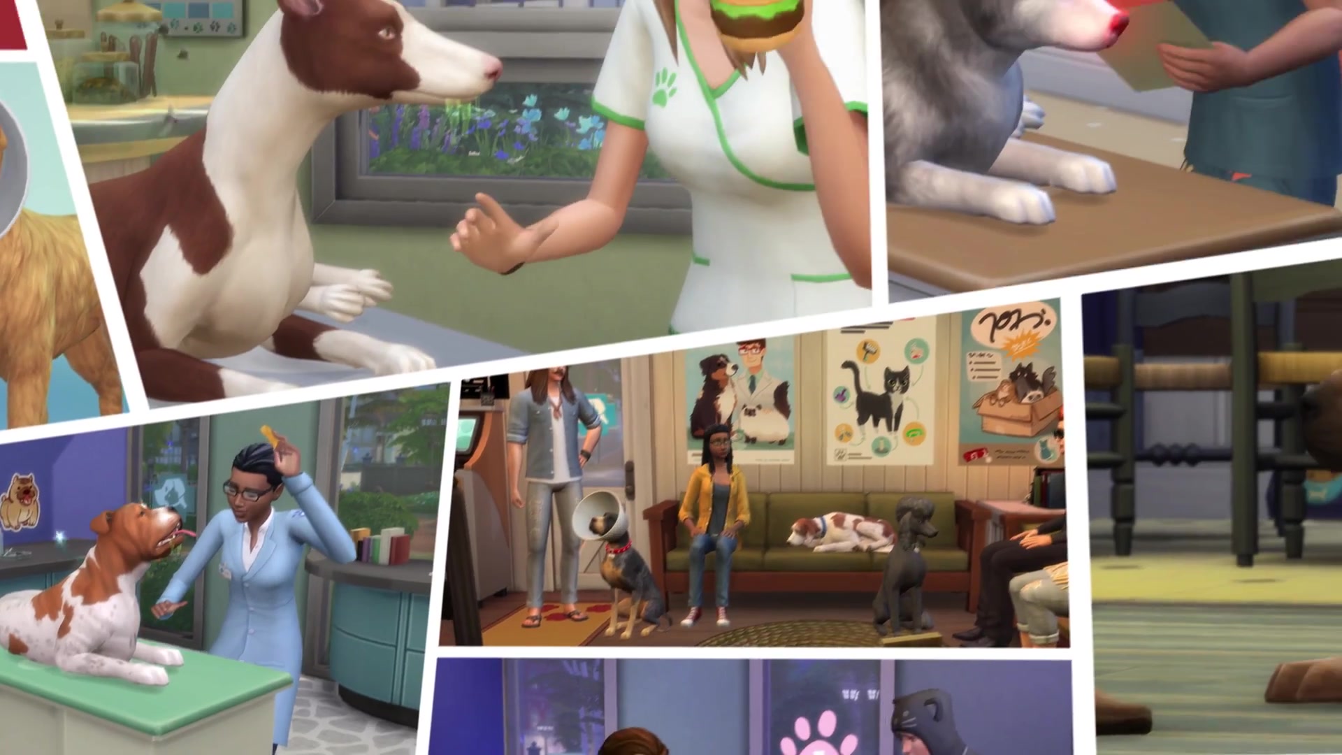 The Sims 4 Cats & Dogs 130+ Vet Clinic Trailer Screens SimsVIP