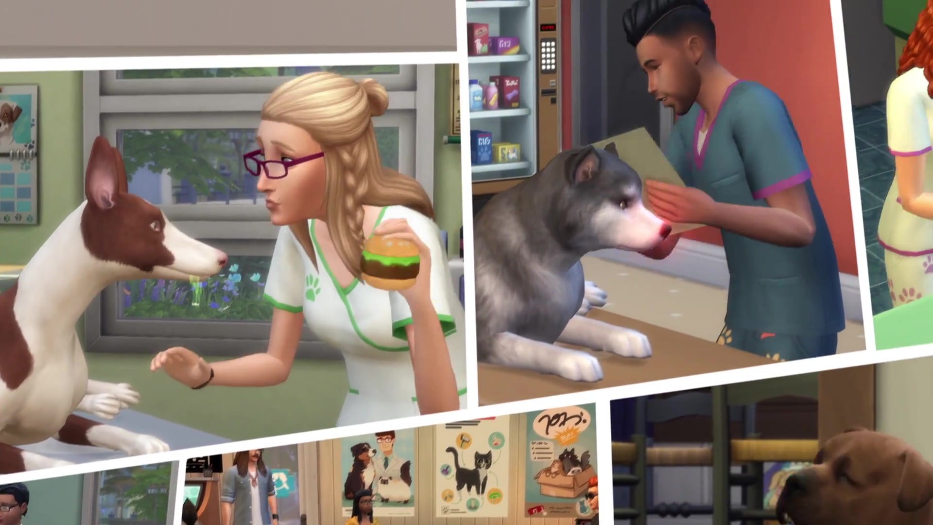 sims 4 vetrinarian cats and dogs recolor