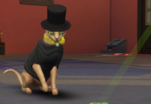 The Sims 4 Cats & Dogs: SimGurus Talk Pet Aging & Life Spans (UPDATE)