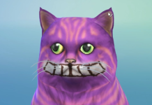 The Sims 4 Cats & Dogs: Create-a-Pet Live Stream Info/Q&A