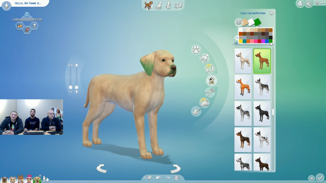 The Sims 4 Cats & Dogs: Create-a-Pet Live Stream Info/Q&A | SimsVIP