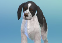 The Sims 4 Cats & Dogs: More Create-a-Pet Screens!