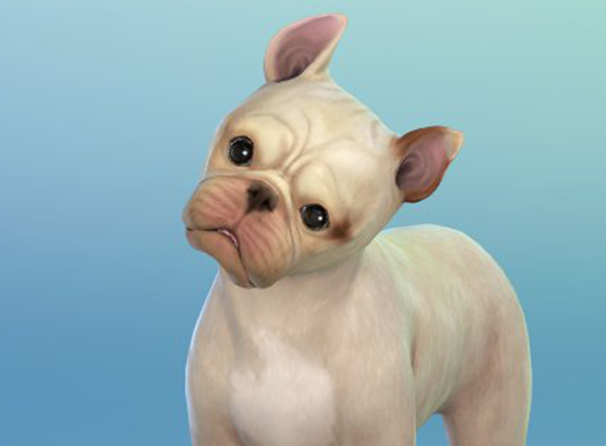 sims 4 cats and dogs wallpaper recolors