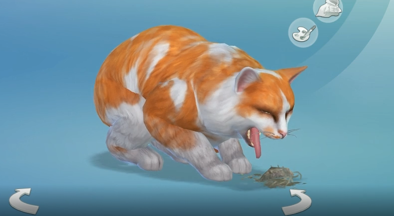 the sims 4 cats and dogs how long does it take for puppies to age up