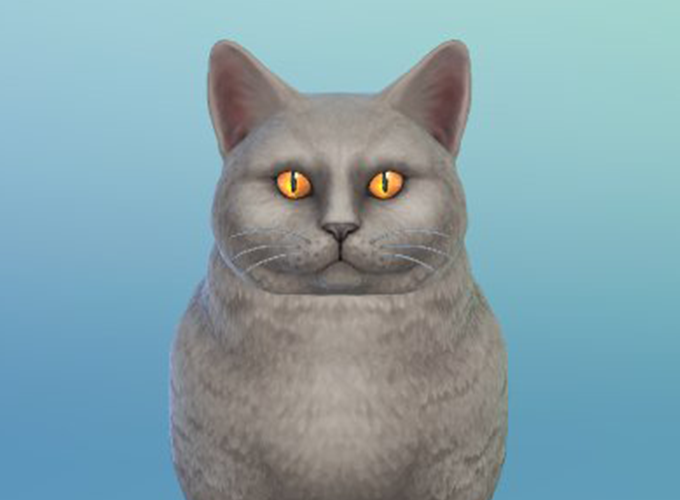 the sims 4 cats and dogs gameplay leaked