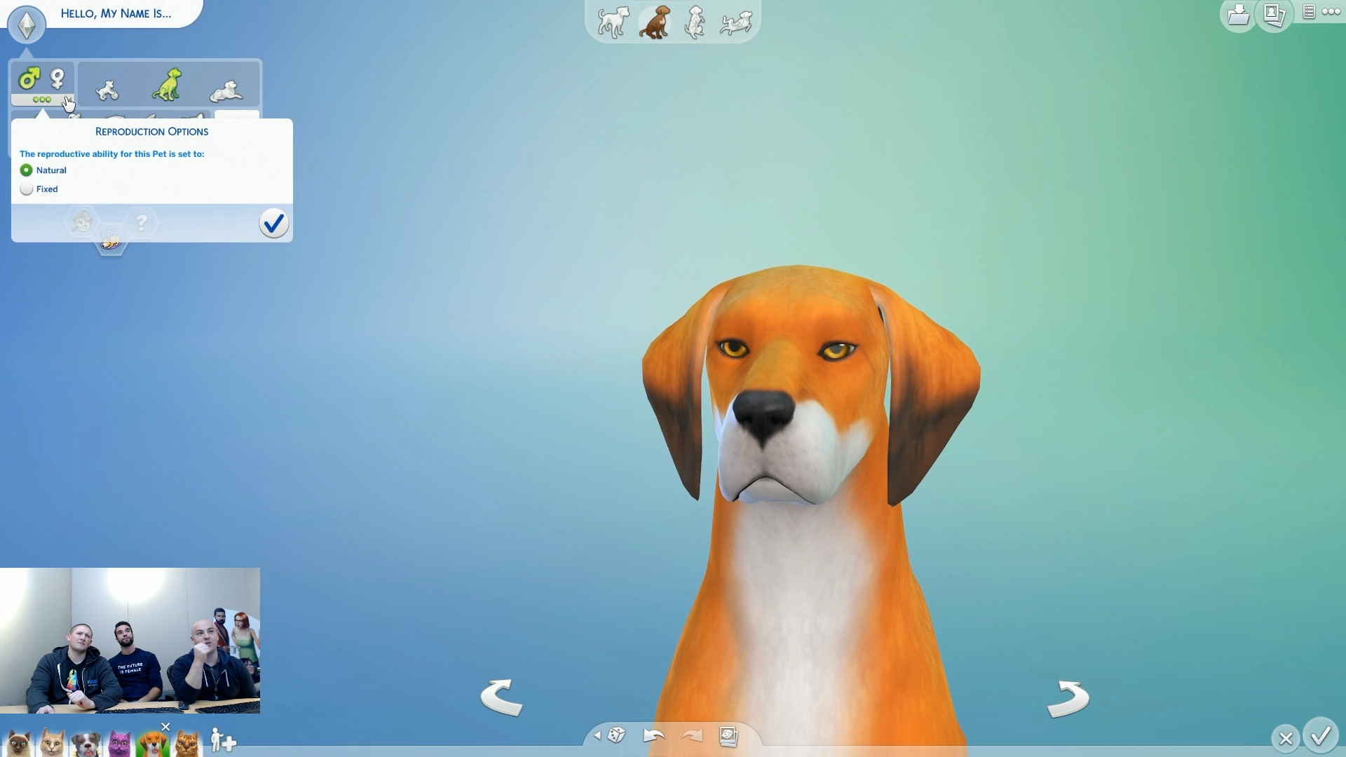 sims 4 cats and dogs hair edit