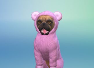 The Sims 4 Cats & Dogs: SPCAI Challenge Week Two