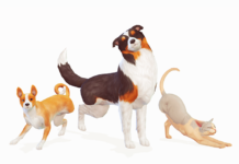 Create a Three Legged Furbaby With These Cats & Dogs Mods