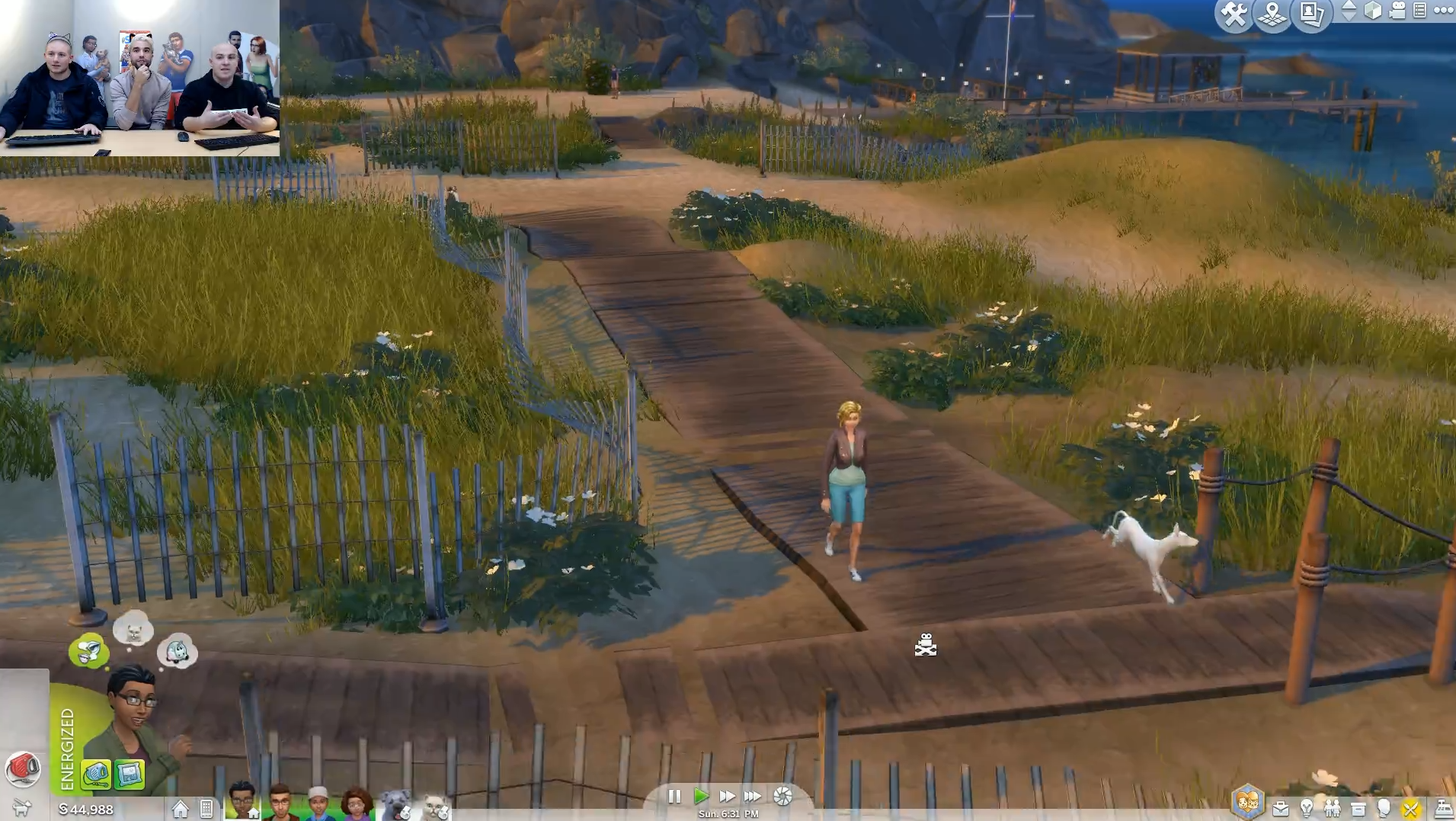 the sims 4 cats and dogs strays in other neighborhoods