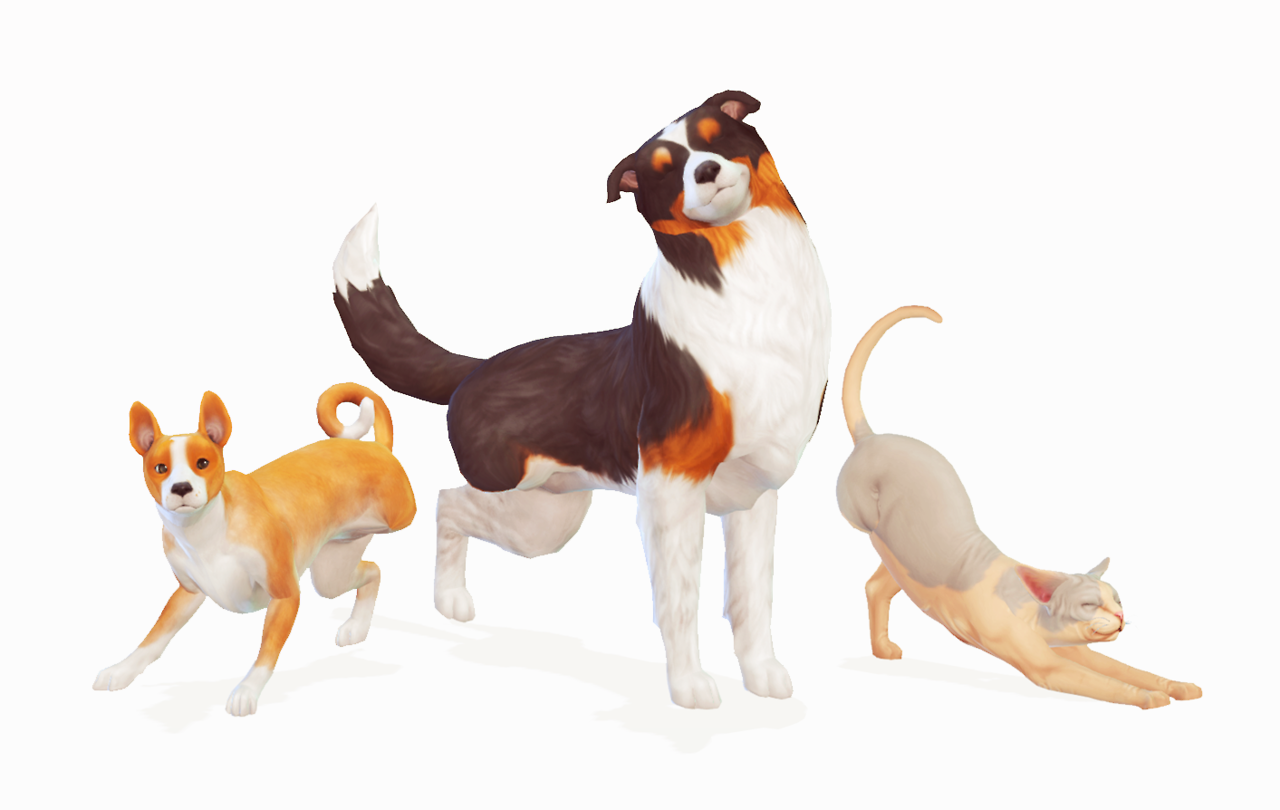 sims 4 dogs and cats free download