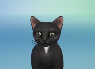 Community Blog: The Sims and SPCAI Community Recap