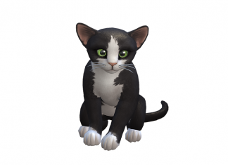 Help Audrina Ventura – Support SimsVIP.com