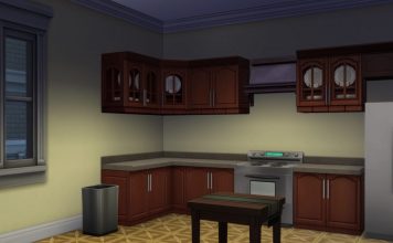 Apartment-Raider Apprehended, Identity Remains Mystery