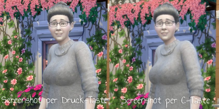 the sims 4 remove blur mod