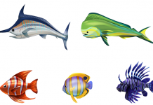 Community Blog: Behind the Scenes of The Sims 4 Island Living