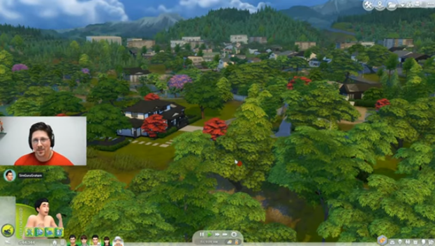 Getting Sims 1 To Play On Windows 10, AN IN-DEPTH LOOK