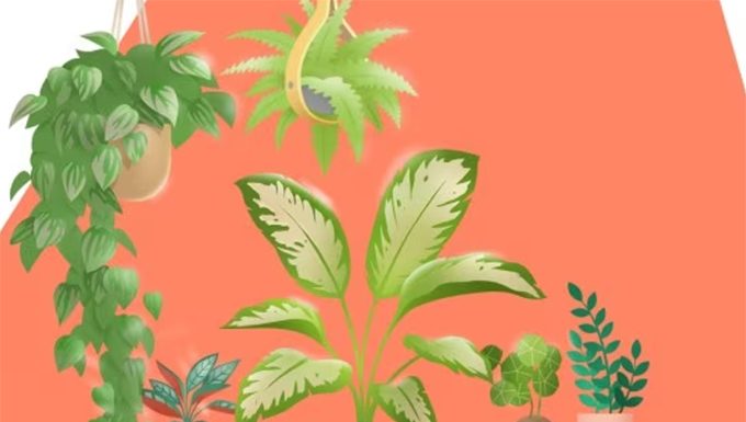 “Blooming Rooms Kit” Is Free For All on the EA App